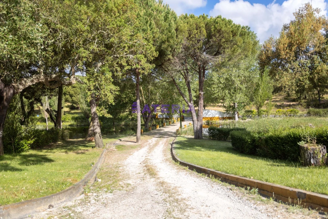 Quinta T8 para Venda em Santo Estêvão Foto 49