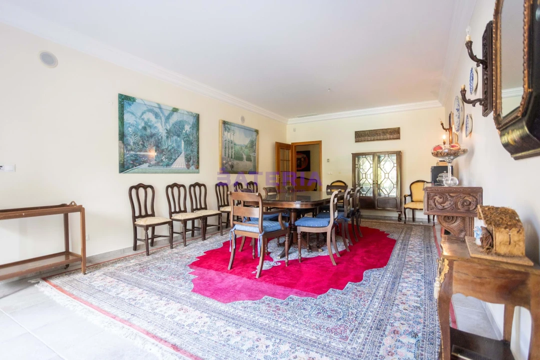 Quinta T8 para Venda em Santo Estêvão Foto 5