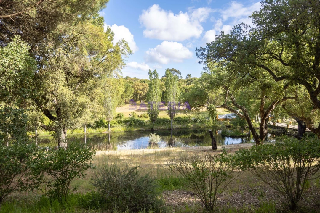 Quinta T8 para Venda em Santo Estêvão Foto 47