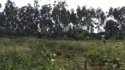 Terreno para Venda em Póvoa de Varzim, Beiriz e Argivai