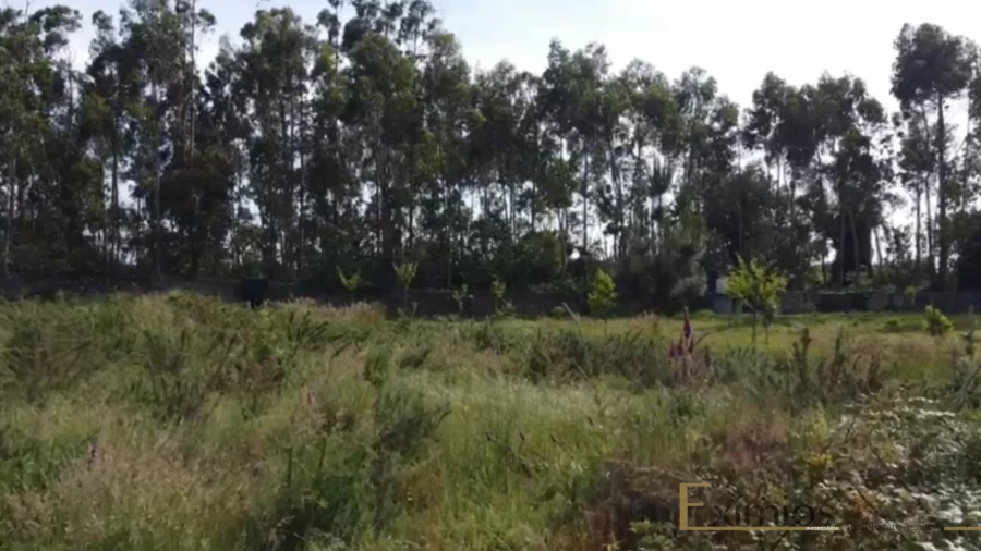 Terreno para Venda em Póvoa de Varzim, Beiriz e Argivai
