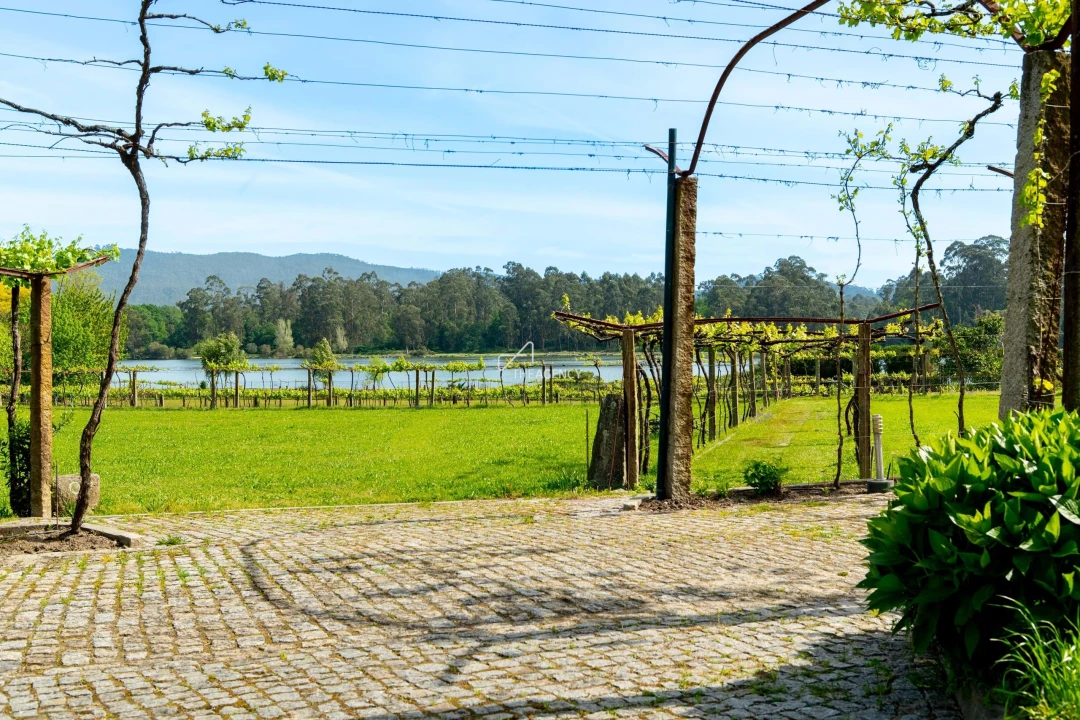 Quinta T10 para Venda em Santa Maria Maior e Monserrate e Meadela Foto 73