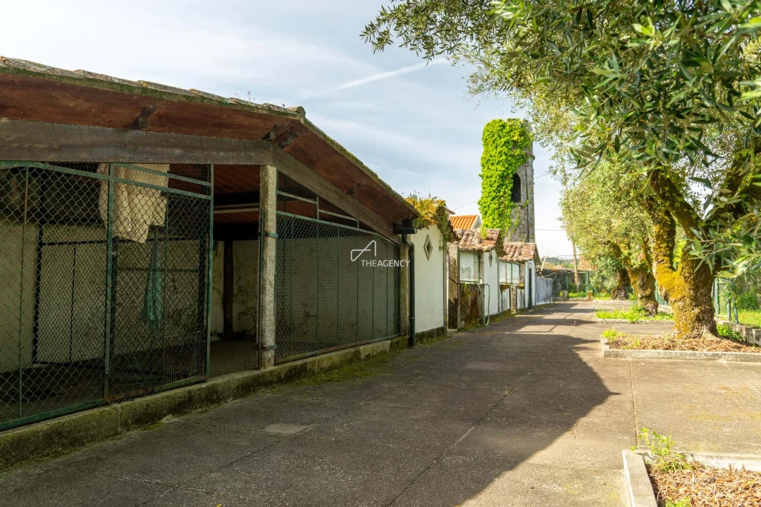 Quinta T10 para Venda em Santa Maria Maior e Monserrate e Meadela Foto 72