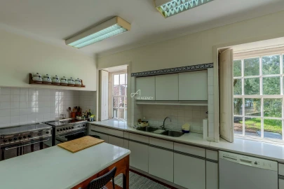 Quinta T10 para Venda em Santa Maria Maior e Monserrate e Meadela