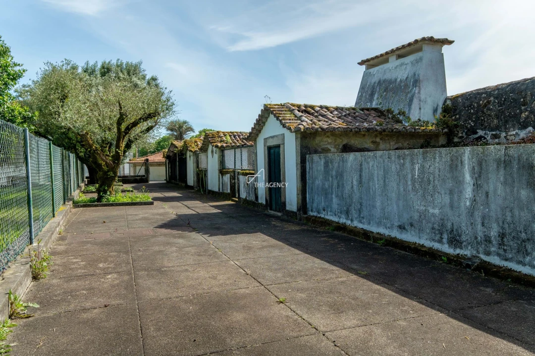 Quinta T10 para Venda em Santa Maria Maior e Monserrate e Meadela Foto 74