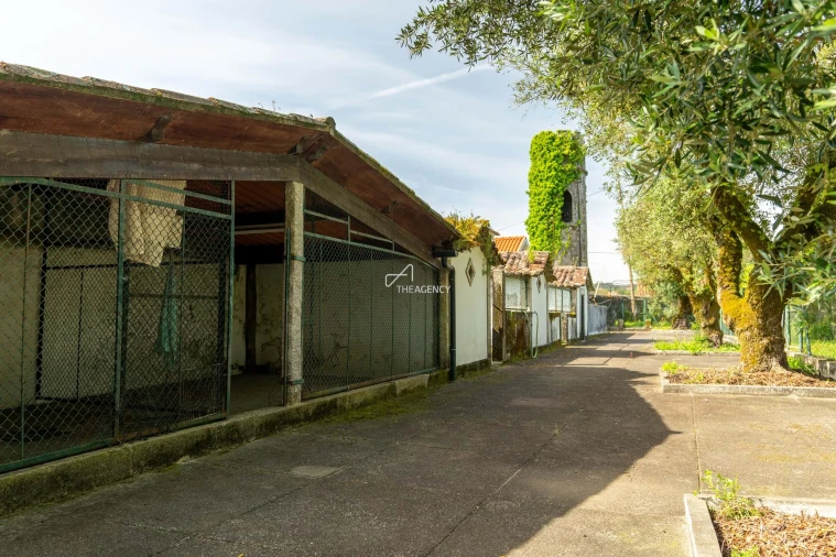 Quinta T10 para Venda em Santa Maria Maior e Monserrate e Meadela Foto 72
