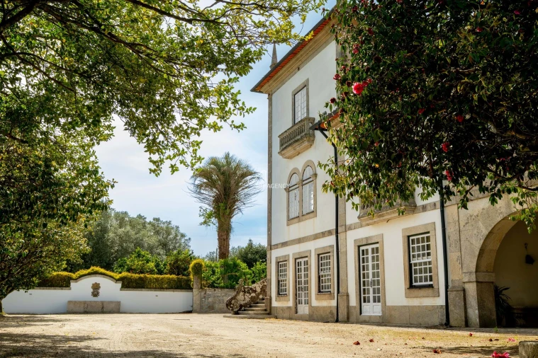 Quinta T10 para Venda em Santa Maria Maior e Monserrate e Meadela Foto 2