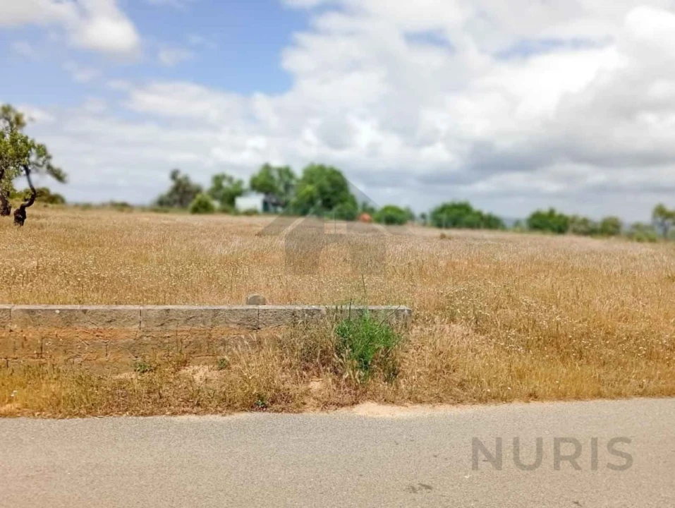 Terreno Agricola ou Rústico para Venda em Porches Foto 9