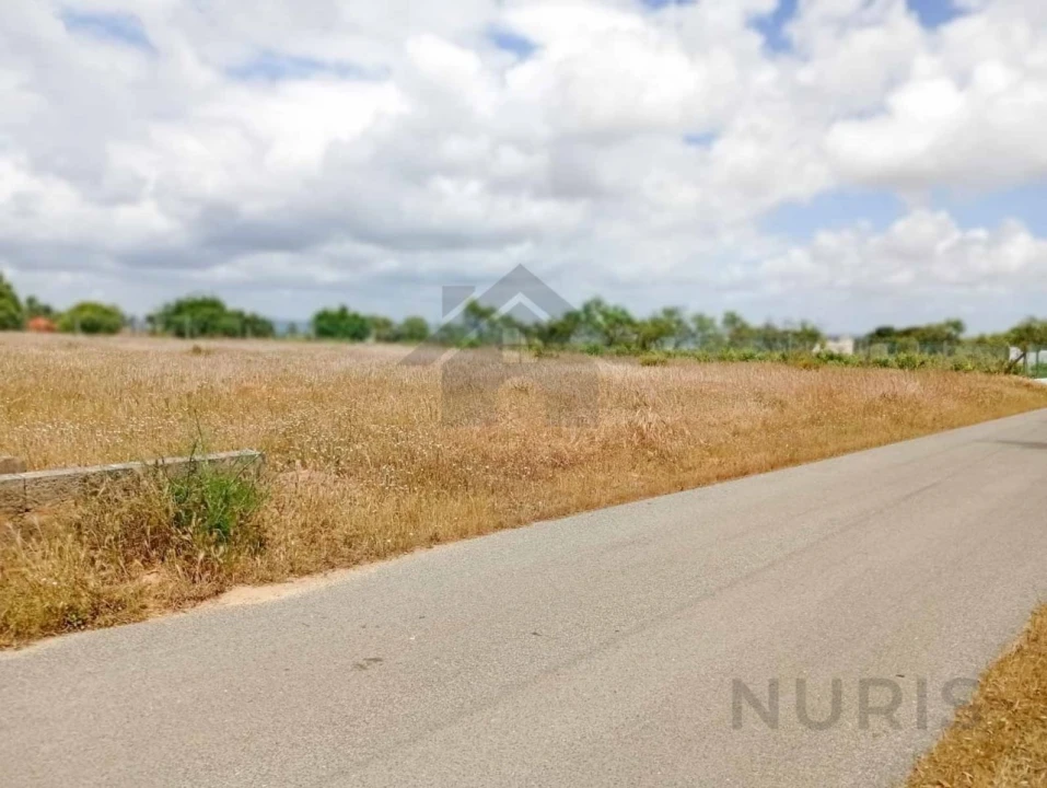 Terreno Agricola ou Rústico para Venda em Porches Foto 10