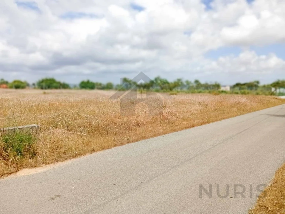 Terreno Agricola ou Rústico para Venda em Porches Foto 11
