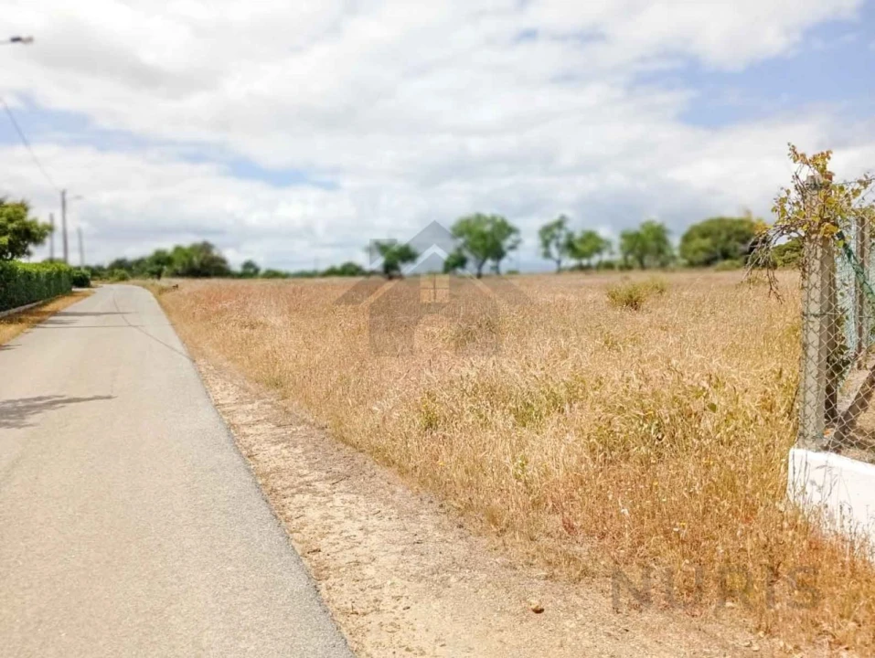 Terreno Agricola ou Rústico para Venda em Porches Foto 12