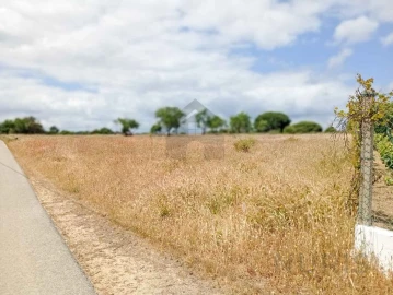 Terreno Agricola ou Rústico para Venda em Porches