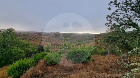 Moradia T4 para Venda em Santa Clara-A-Nova e Gomes Aires