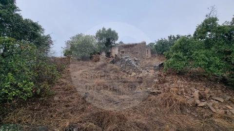 Moradia T4 para Venda em Santa Clara-A-Nova e Gomes Aires