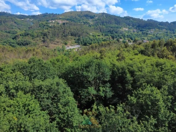 Moradia para Venda em Couto