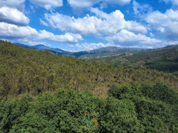 Moradia para Venda em Couto