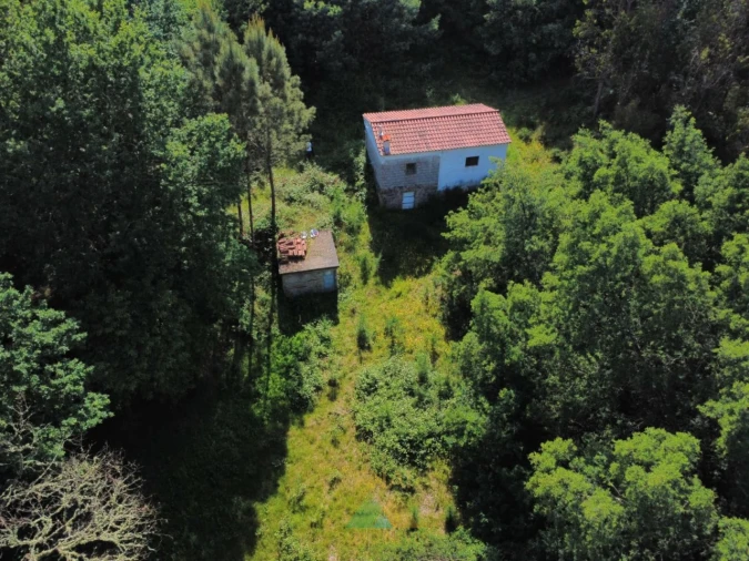 Moradia para Venda em Couto Foto 4