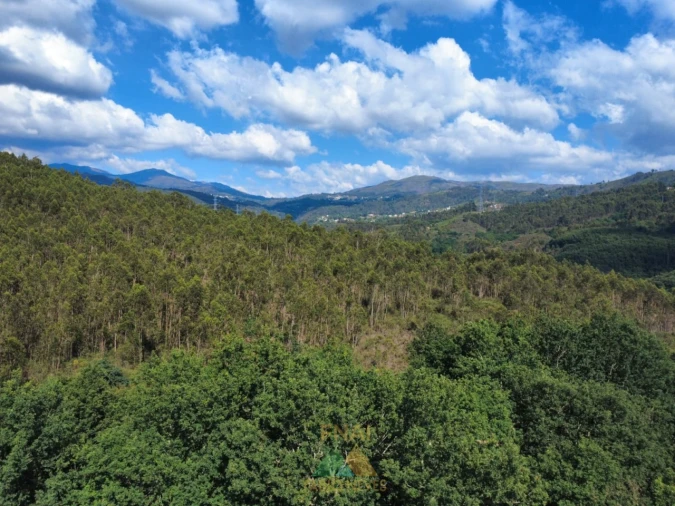 Moradia para Venda em Couto Foto 20