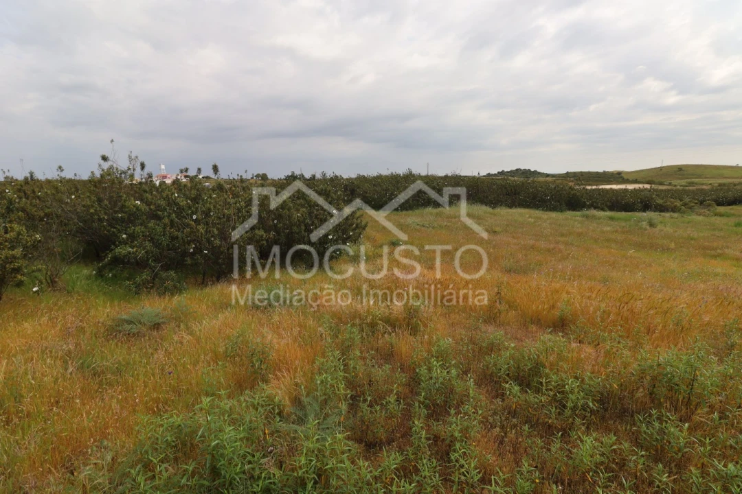 Terreno para Venda em Azinhal Foto 15
