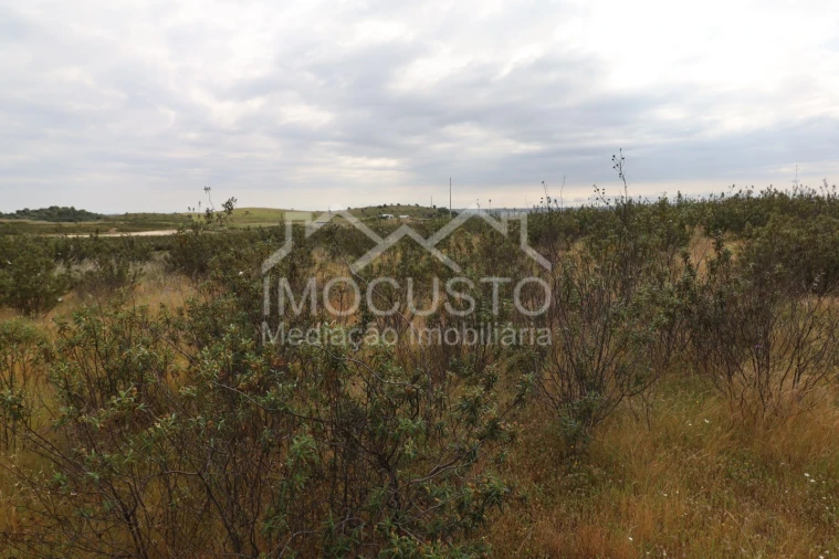 Terreno para Venda em Azinhal Foto 9