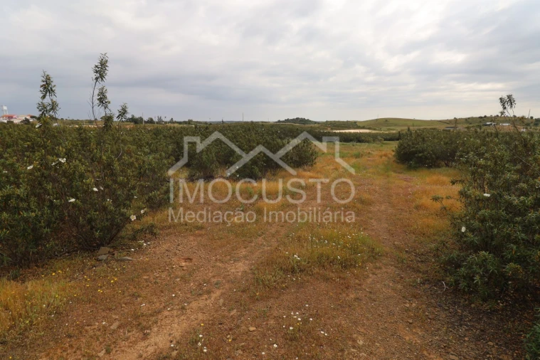 Terreno para Venda em Azinhal Foto 13