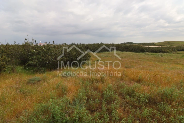 Terreno para Venda em Azinhal Foto 15