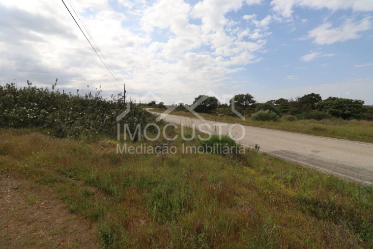 Terreno para Venda em Azinhal Foto 25