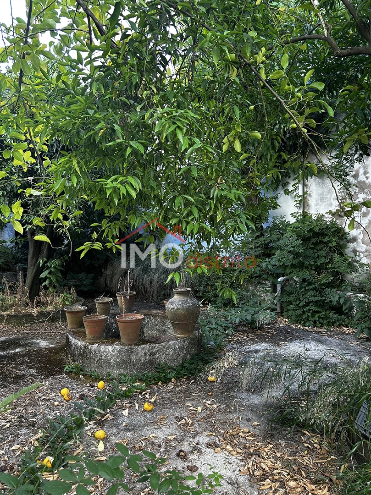Moradia T9 para Venda em Sé e São Lourenço Foto 15