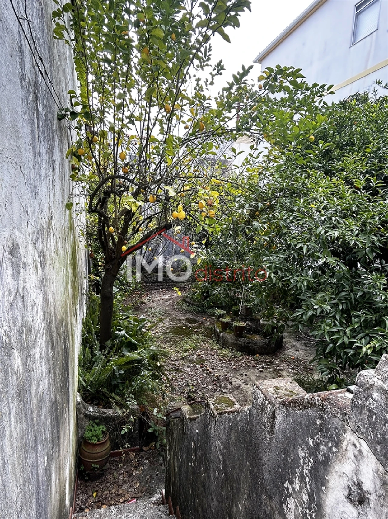 Moradia T9 para Venda em Sé e São Lourenço Foto 16