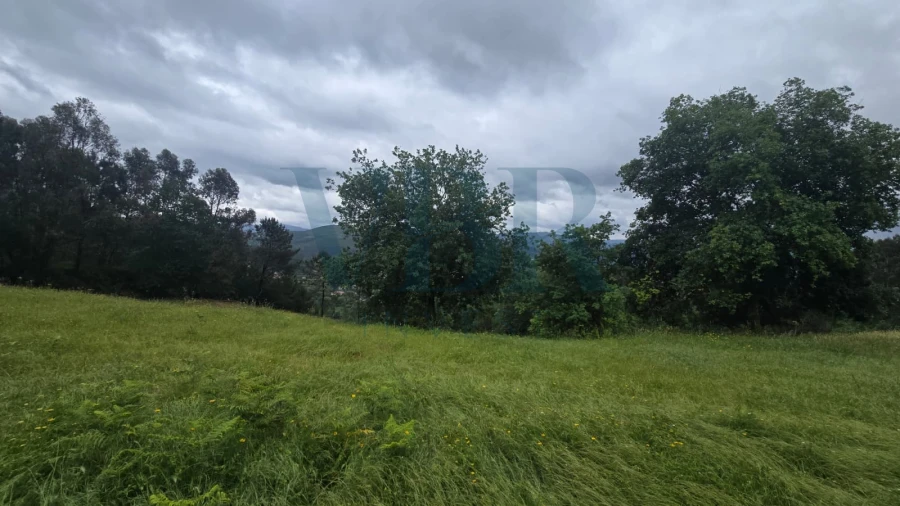 Terreno para Venda em Vade Foto 6