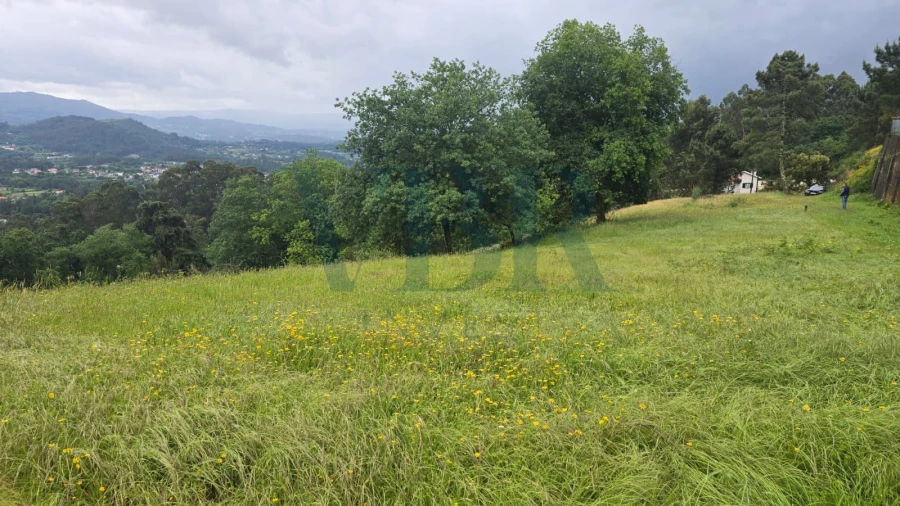 Terreno para Venda em Vade Foto 4