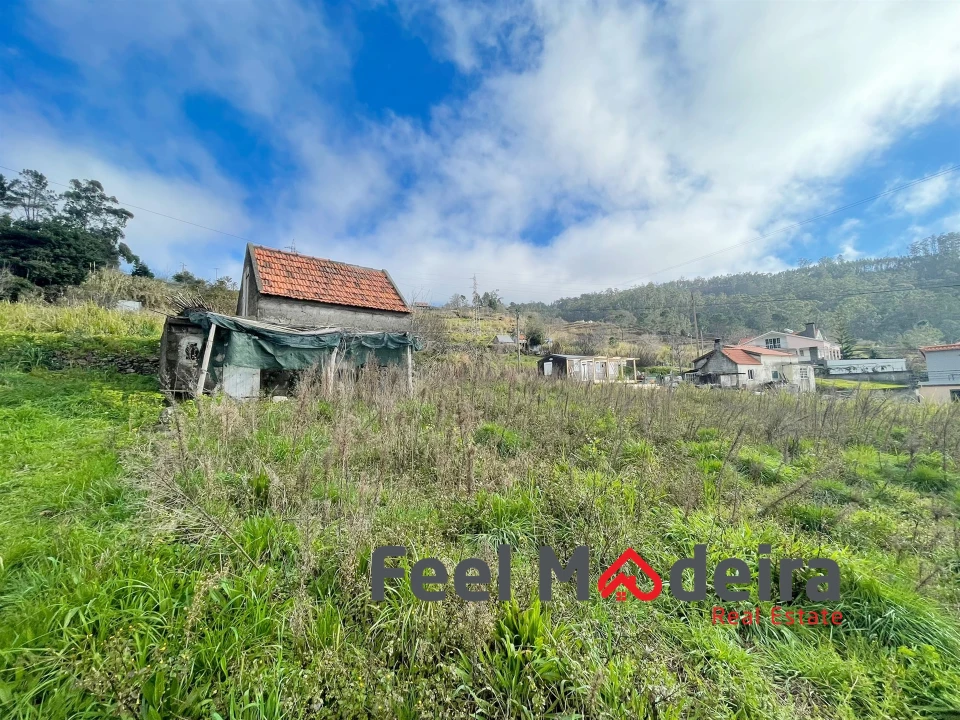 Terreno Agricola ou Rústico para Venda em Canhas Foto 9
