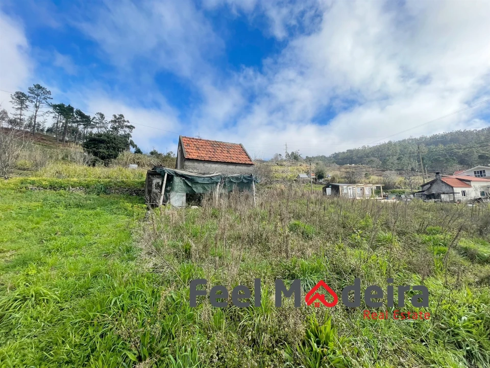 Terreno Agricola ou Rústico para Venda em Canhas Foto 5