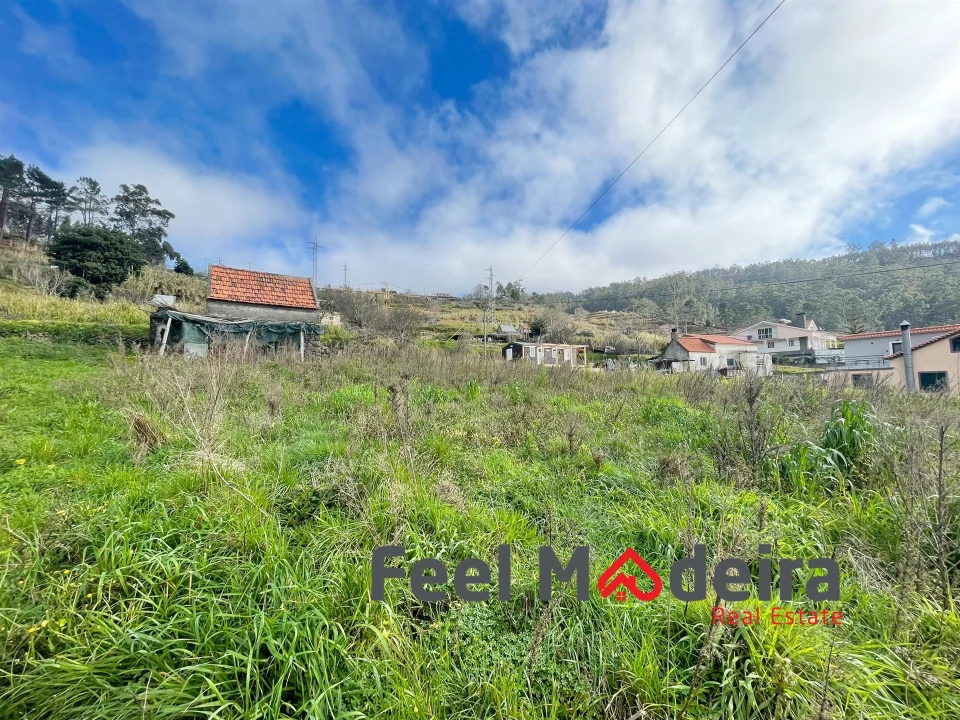 Terreno Agricola ou Rústico para Venda em Canhas Foto 2