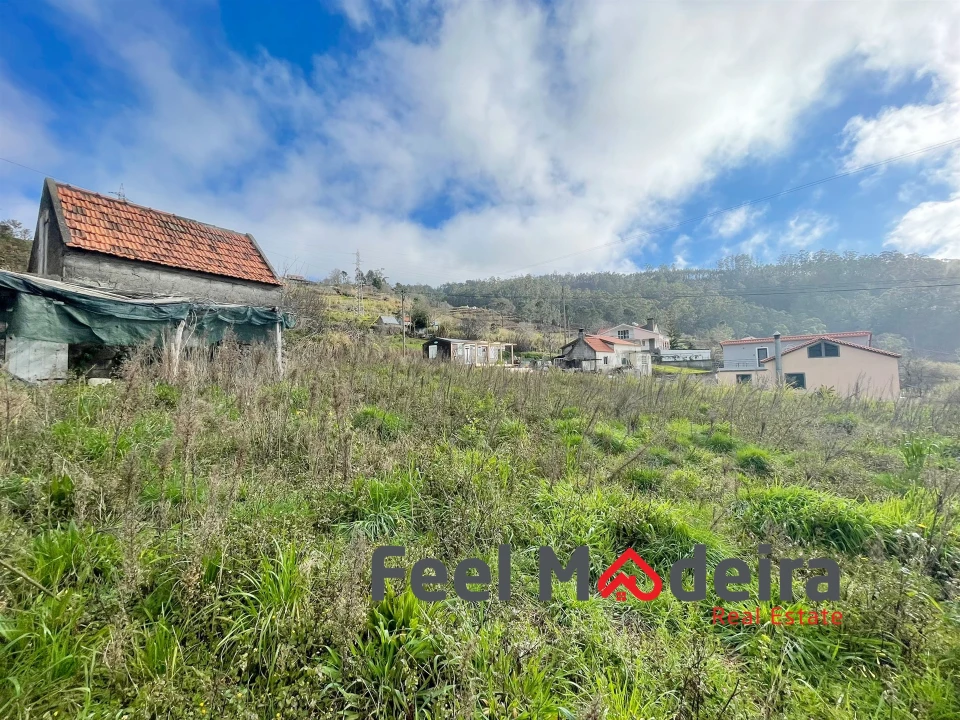 Terreno Agricola ou Rústico para Venda em Canhas Foto 4