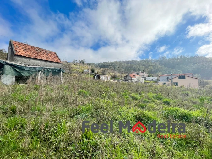 Terreno Agricola ou Rústico para Venda em Canhas Foto 4