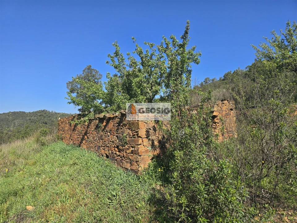 Terreno Agricola ou Rústico para Venda em Santa Clara-A-Nova e Gomes Aires Foto 6