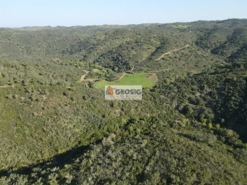 Terreno Agricola ou Rústico para Venda em Santa Clara-A-Nova e Gomes Aires