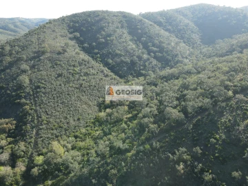 Terreno Agricola ou Rústico para Venda em Santa Clara-A-Nova e Gomes Aires