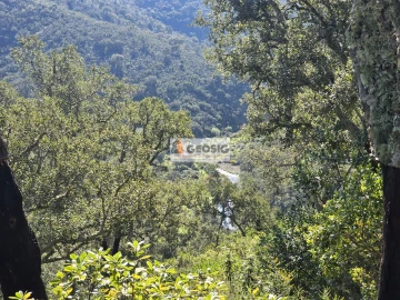 Terreno Agricola ou Rústico para Venda em Santa Clara-A-Nova e Gomes Aires