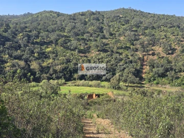 Terreno Agricola ou Rústico para Venda em Santa Clara-A-Nova e Gomes Aires