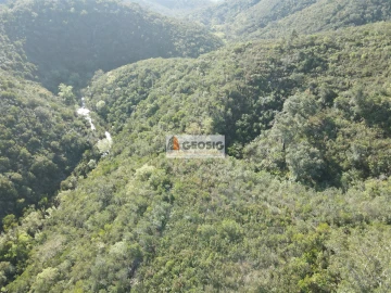 Terreno Agricola ou Rústico para Venda em Santa Clara-A-Nova e Gomes Aires