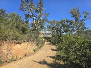 Terreno Agricola ou Rústico para Venda em Santa Clara-A-Nova e Gomes Aires