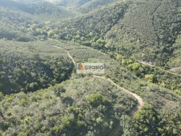 Terreno Agricola ou Rústico para Venda em Santa Clara-A-Nova e Gomes Aires