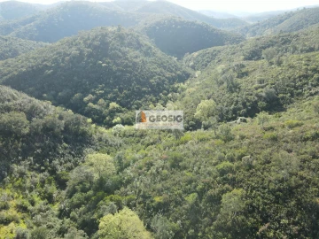 Terreno Agricola ou Rústico para Venda em Santa Clara-A-Nova e Gomes Aires