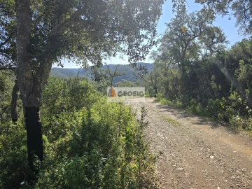 Terreno Agricola ou Rústico para Venda em Santa Clara-A-Nova e Gomes Aires