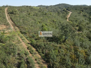 Terreno Agricola ou Rústico para Venda em Santa Clara-A-Nova e Gomes Aires