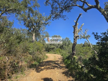 Terreno Agricola ou Rústico para Venda em Santa Clara-A-Nova e Gomes Aires