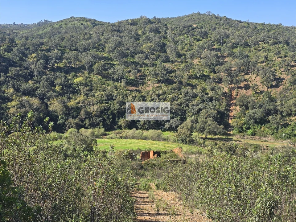 Terreno Agricola ou Rústico para Venda em Santa Clara-A-Nova e Gomes Aires Foto 22