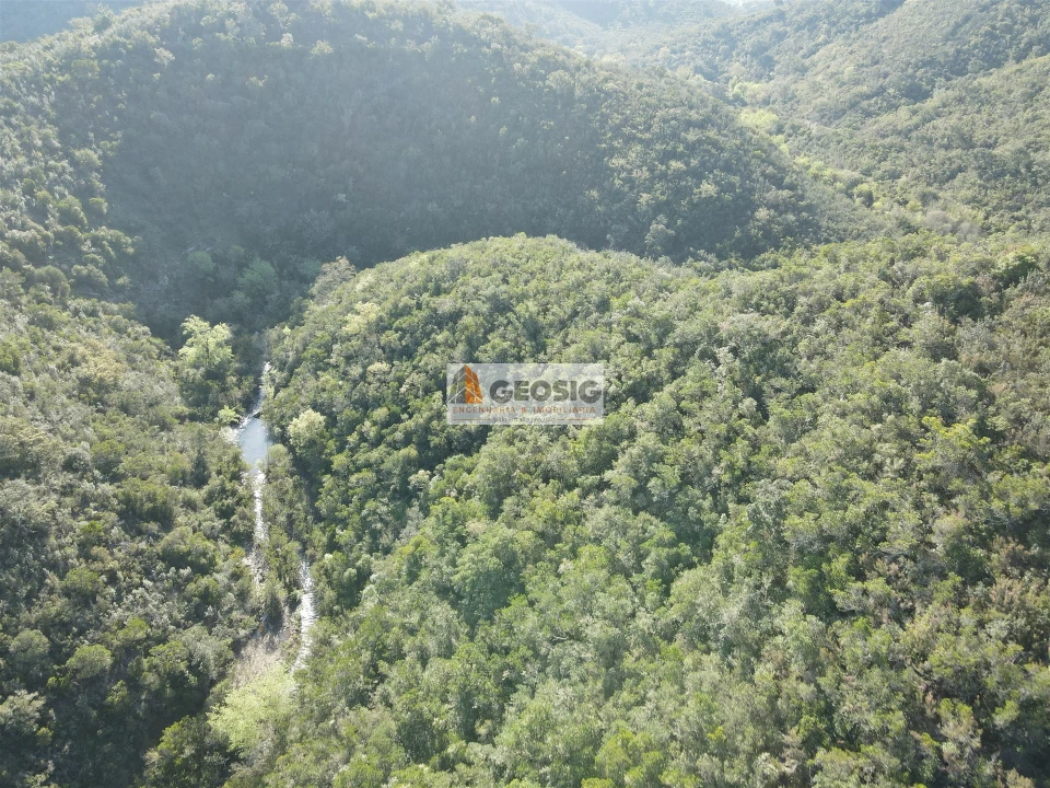Terreno Agricola ou Rústico para Venda em Santa Clara-A-Nova e Gomes Aires Foto 26